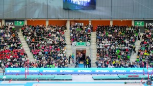 grand prix della ginnastica 0106 sfe02130 copia simone ferraro ph